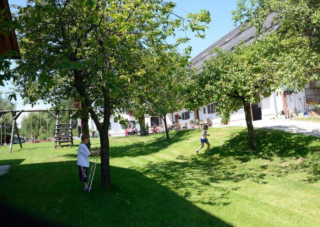 Saint Wolfgang Weinbachbauer - Urlaub Am Bauernhofヴィラ エクステリア 写真