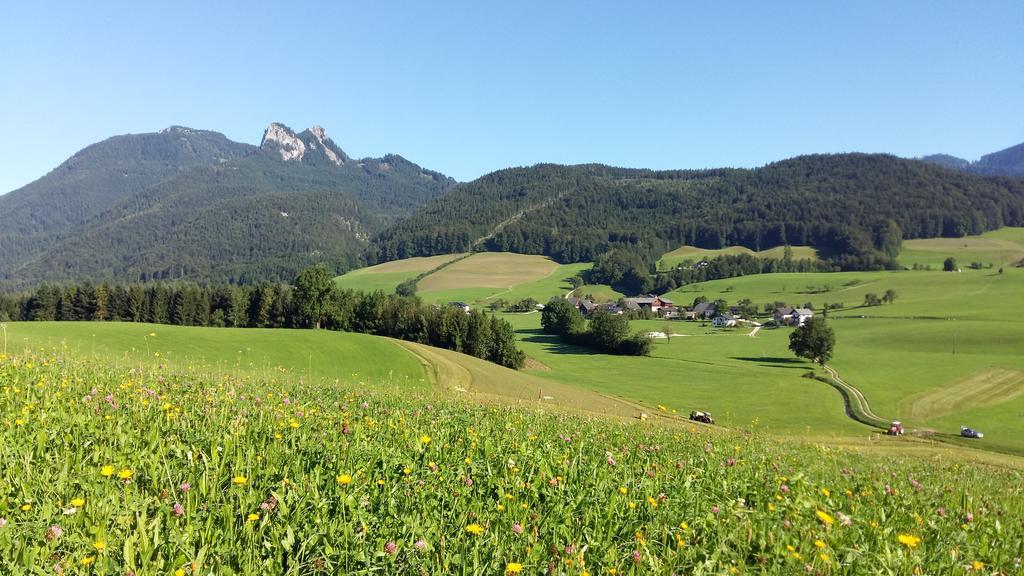 Saint Wolfgang Weinbachbauer - Urlaub Am Bauernhofヴィラ エクステリア 写真
